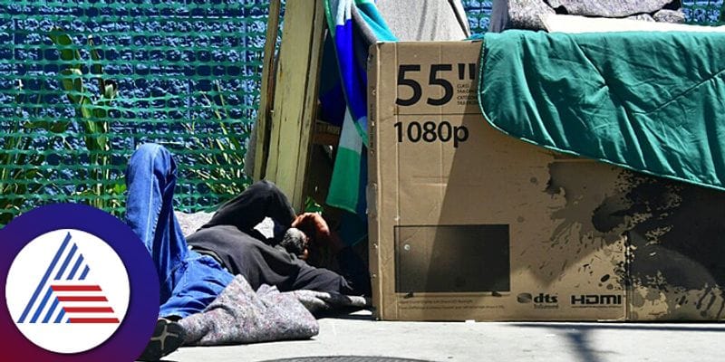 States with highest homeless people in America pav