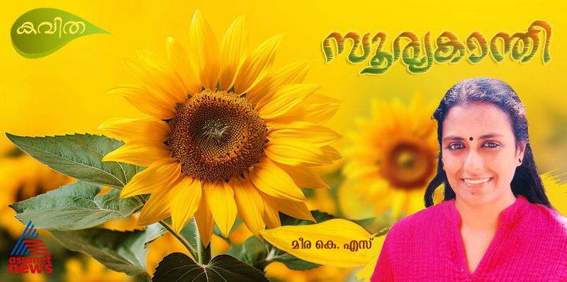 vaakkulsavam malayalam poems by Meera KS 