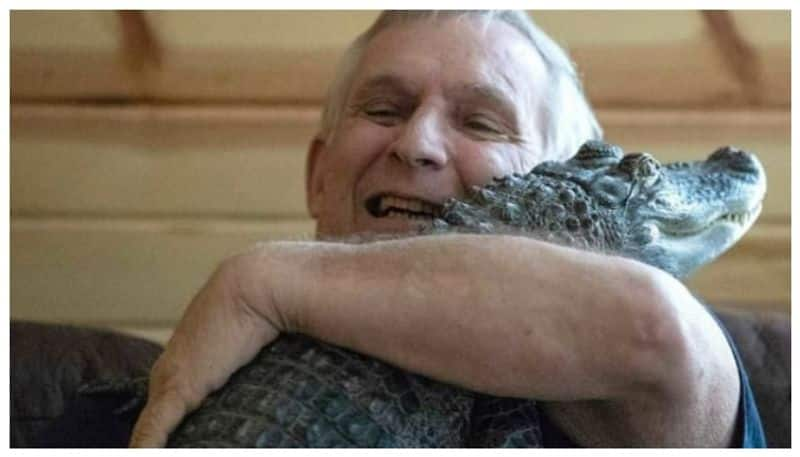 Owner searches for alligator that provided emotional support during depression