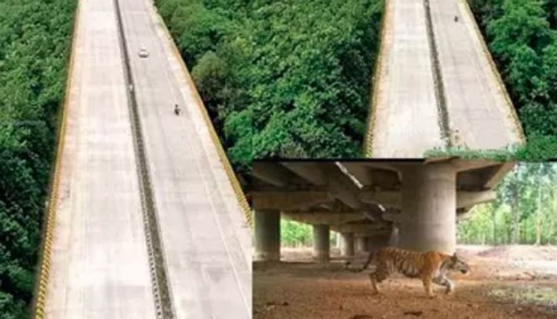 Anand Mahindra shares pic of highway that was built through tiger reserve Vin