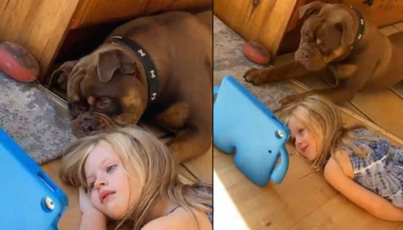 parents gifted dog to daughter as solution for her screen time then this is happened 