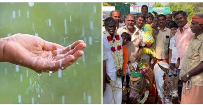 Villagers arranged marriages for donkeys by beating drums to pray for rain KAK