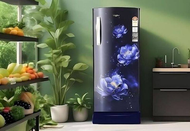 Amazon Great Summer Sale 2024: Save up to 40% off on refrigerators from LG, Whirlpool and others sgb