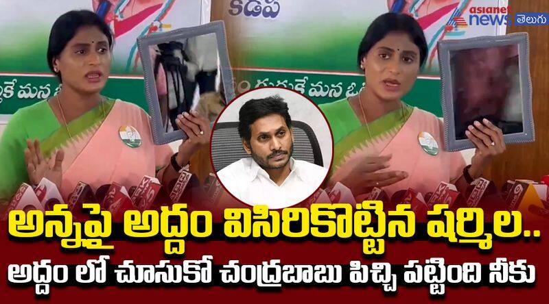 Ys Sharmila Fire on Jagan