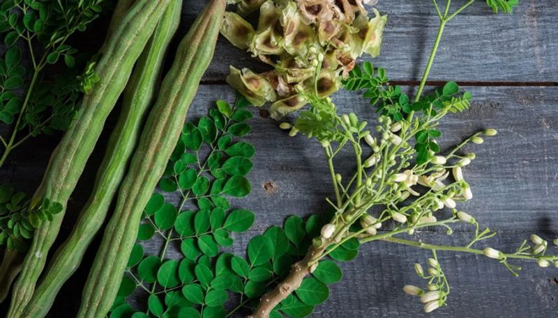 benefits of moringa leaves or drumstick leaves