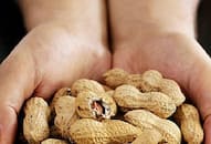 peanut-peel-benefits-health-advantages-uses