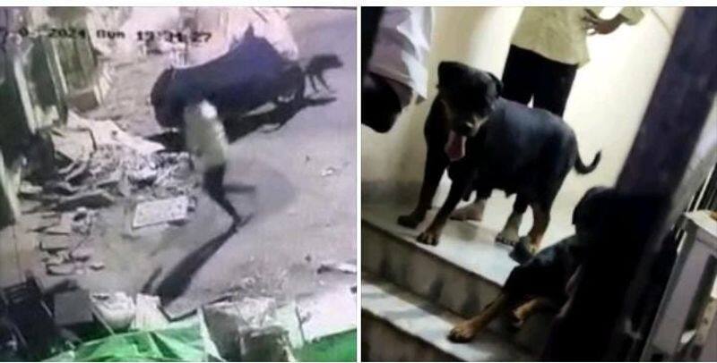 A girl who was badly injured by a dog in Chennai underwent surgery vel