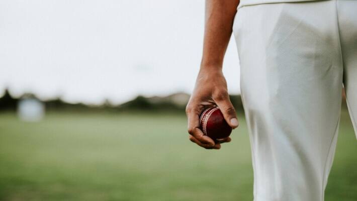 cricket ball 