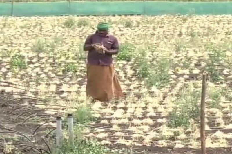 East Monsoon rains again ground water subsidence in Chamarajanagar district gvd