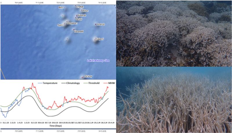 The great coral reefs in Lakshadweep faces coral bleaching due to heat wave at sea