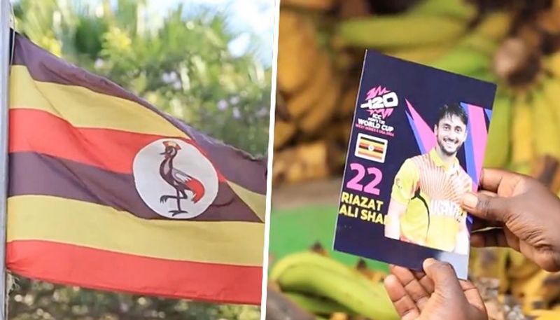 cricket T20 World Cup 2024: Inspired by daily life, Uganda announce their squad for event in style (WATCH) osf