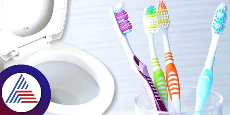 Why Should You Never Keep Toothbrush In Toilet roo