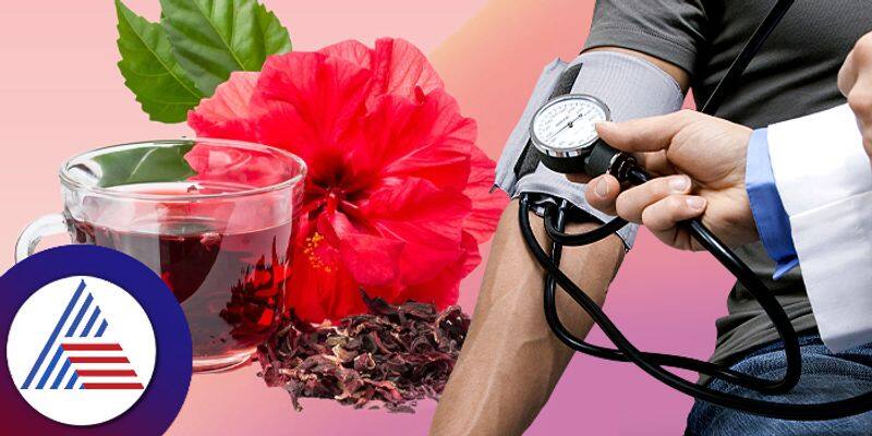 Best 7 herbal tea for hypertension keep you cool healthy and fit pav