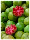Health tips: దీన్ని రోజుకు ఒక్కటి తిన్న చాలు.. ఆరోగ్యంగా ఉంటారు!