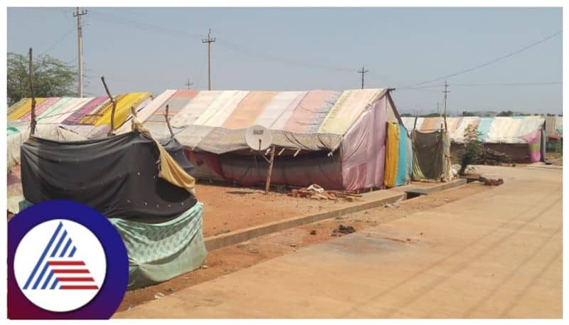 Sudugadu Siddha tribe community seeks protection and basic needs  family living in Tent house in Chitradurga gow