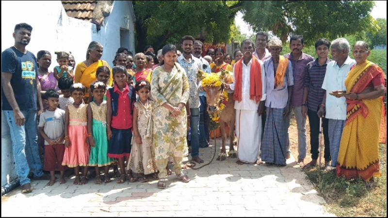 a farmer celebrate baby shower to cow on his residence in tenkasi vel