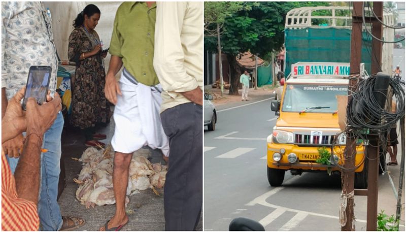 number plate of vehicle hidden due to suspicion natives checked found dead chicken in balussery