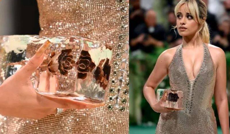 Camila Cabello Met Gala 2024 look, Carries A Rose Infused Real Ice Clutch Vin