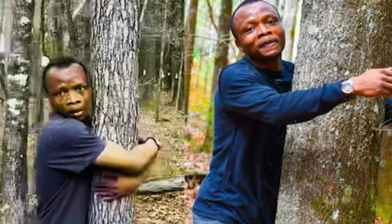 man hugs over 1100 trees in one hour for guinness world record 