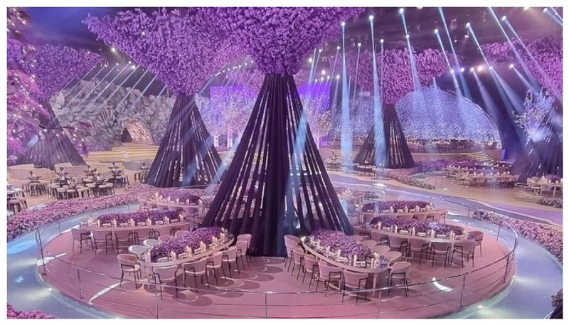 Lavender themed wedding venue built in 75 days goes viral 