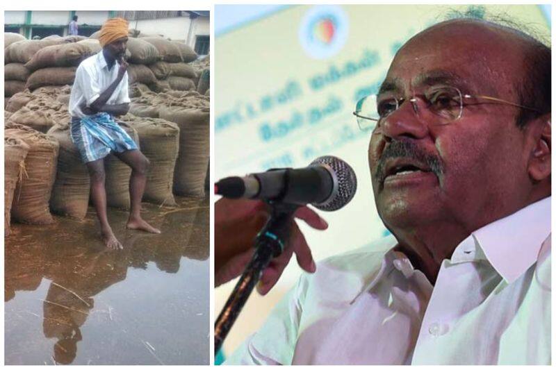 Pmk founder ramadoss Condemnation for bags of paddy kept at Villupuram were damaged by rain vel