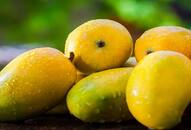 Debunking Myths: Can mangoes increase blood sugar and cause weight gain? NTI