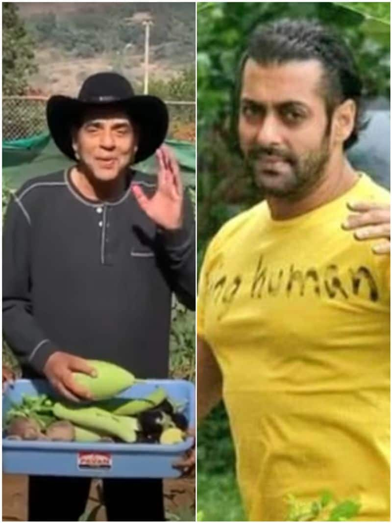 Pankaj Tripathi to Salman Khan: 7 Actors who are also farmers RTM