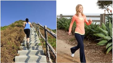 Climbing stairs or walking? Know which exercise is best for effective weight loss RTM