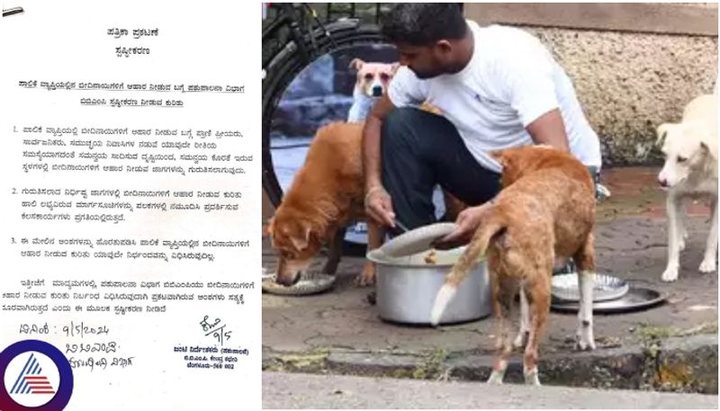 BBMP clarification about stray dogs feeding restrictions in Bengaluru sat