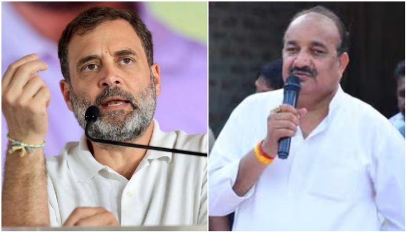 bjp candidate dinesh prathap singh against rahul gandhi lost support of two mlas from party