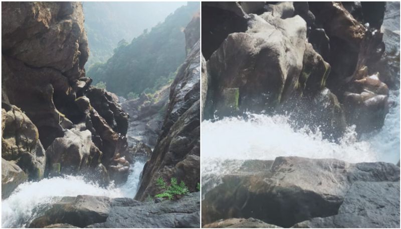 kakkayam eco tourism opens after 100 days now tourists can visit Urakkuzhi Waterfalls