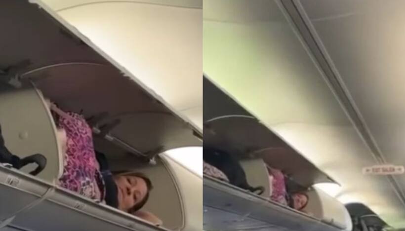 Viral video: American woman climbs into luggage compartment of plane to take a nap [watch]