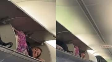 Viral video: American woman climbs into luggage compartment of plane to take a nap NTI