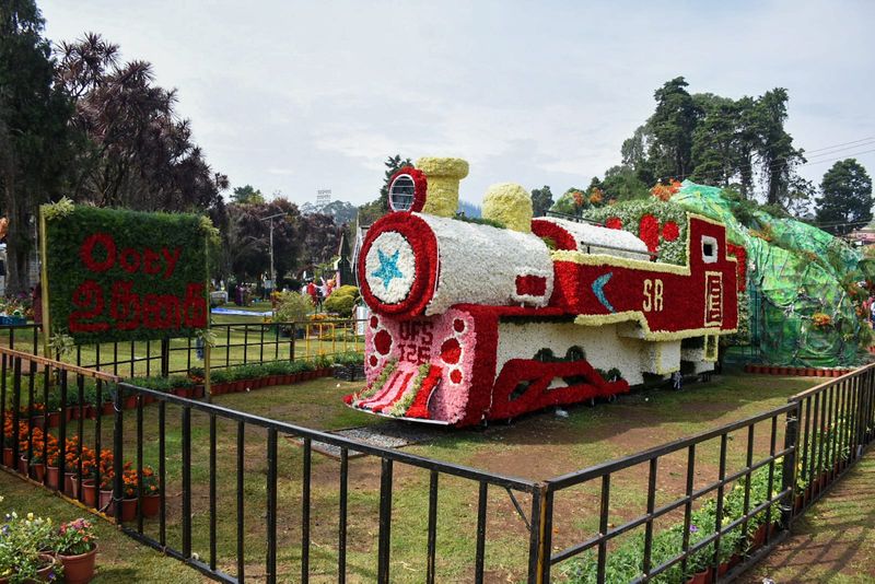 126th flower show started today at ooty in nilgiri district