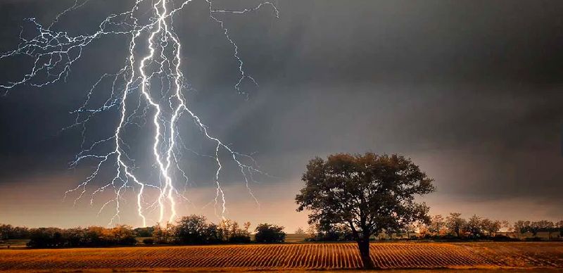 Karnataka rains farmer woman and dog dies after lightning at bonasapur village kalaburagi district rav