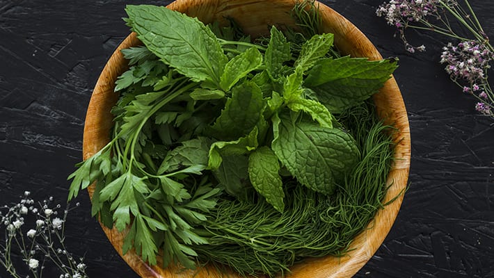 how to store coriander mint and curry leaves for longer days rsl