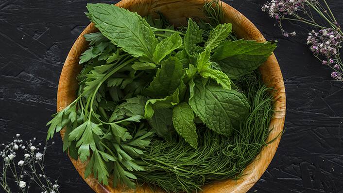 how-to-store-coriander-mint-and-curry-leaves