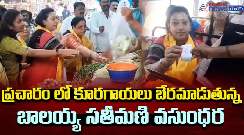 Balayya wife Vasundhara election campaign in Hindupur constituency