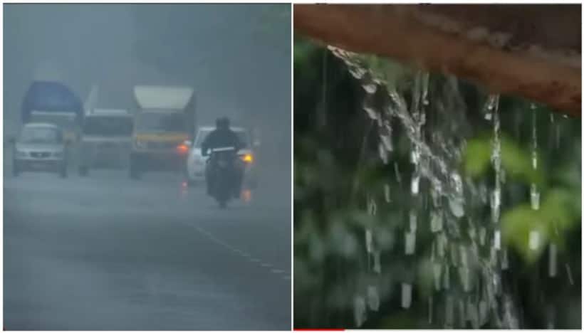 Kerala Rain Update: IMD sounds red alert in 8 districts, orange alert in 4; Read