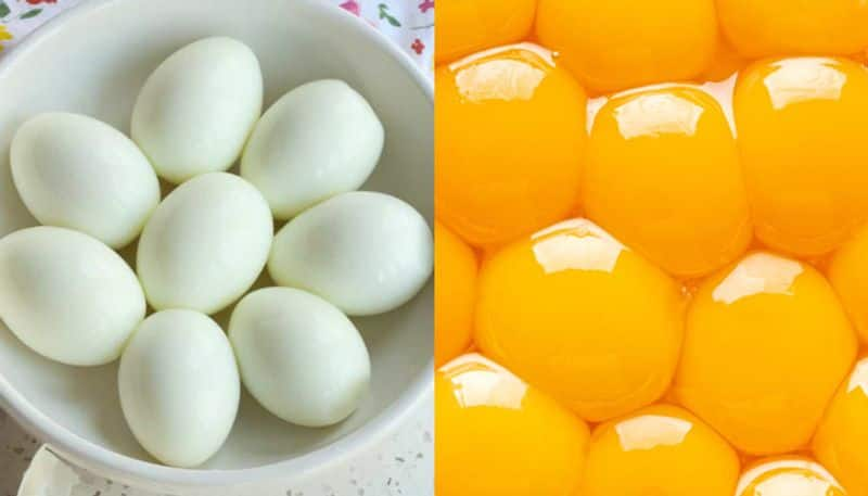 egg white versus egg yolk which one is healthier