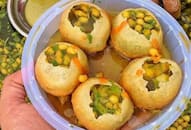 Phuchka to Mishti Doi 5 best dishes you must try in Kolkata iwh