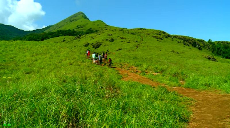 conspiracy suspected behind financial fraud in visitors ticket counter at chembra peak need action 