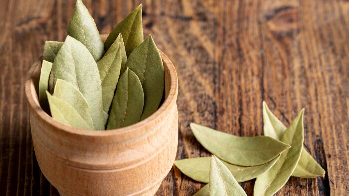 Bay Leaf