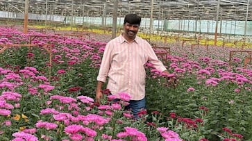 success story of Bangalore farmer Bollapally Srikanth flower farming zrua