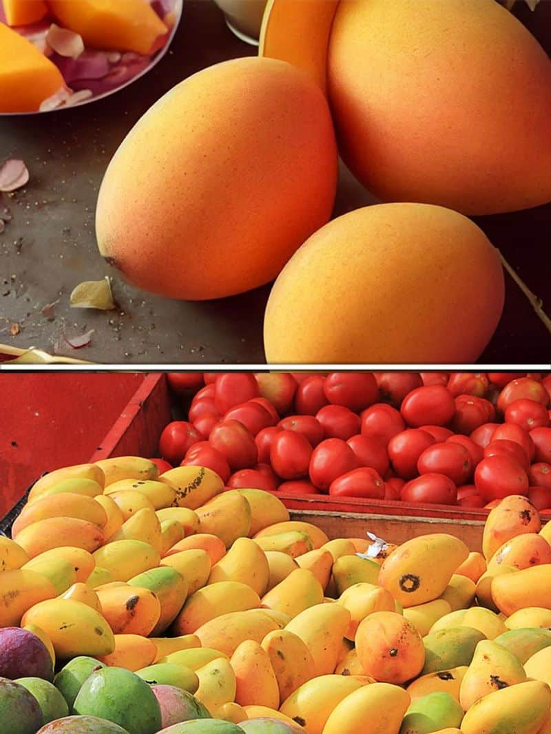 Mango Mania: 7 tips to keep 'The King of Fruits' fresh ATG EAI