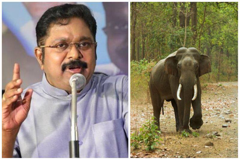 tamil nadu government should withdraw a draft project report about elephant path in nilgiris district said ttv dhinakaran vel