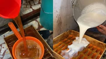 Viral Video: Social media abuzz with hygiene concerns surrounding Kanpur's ice cream factory [WATCH] NTI