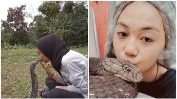 [WATCH] Woman kisses king cobra on the head; Sparks online outrage RTM