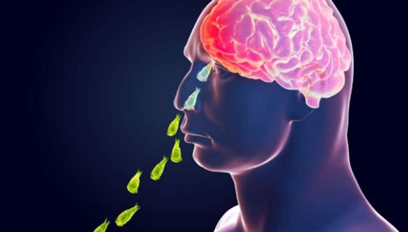 Kerala: 10-year-old boy diagnosed with primary amoebic meningoencephalitis in Kollam