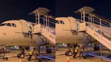 Viral Video: Terrifying moment man falls from plane in Indonesia after staff pull back stairs NTI